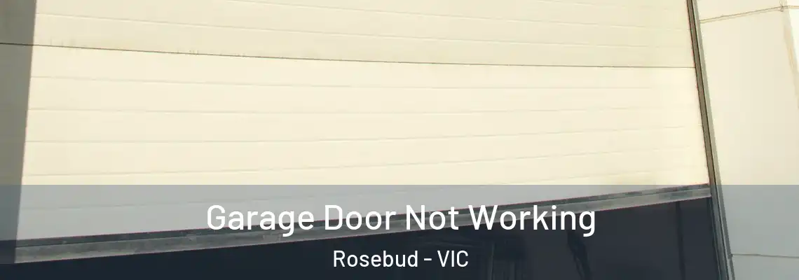  Garage Door Not Working Rosebud - VIC