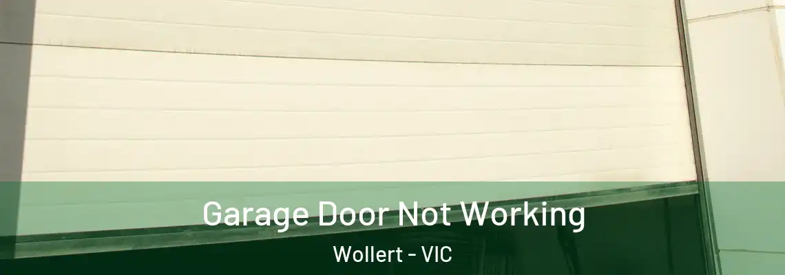  Garage Door Not Working Wollert - VIC