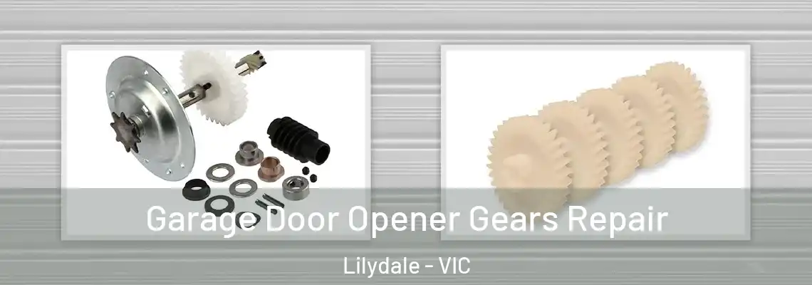 Garage Door Opener Gears Repair Lilydale - VIC