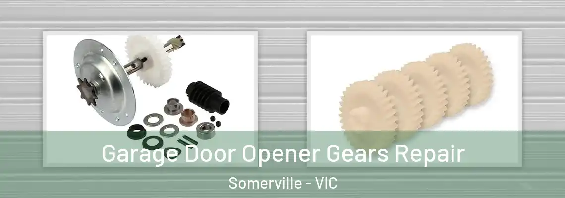 Garage Door Opener Gears Repair Somerville - VIC