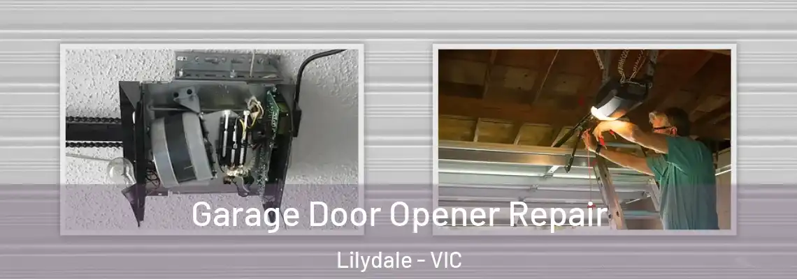 Garage Door Opener Repair Lilydale - VIC