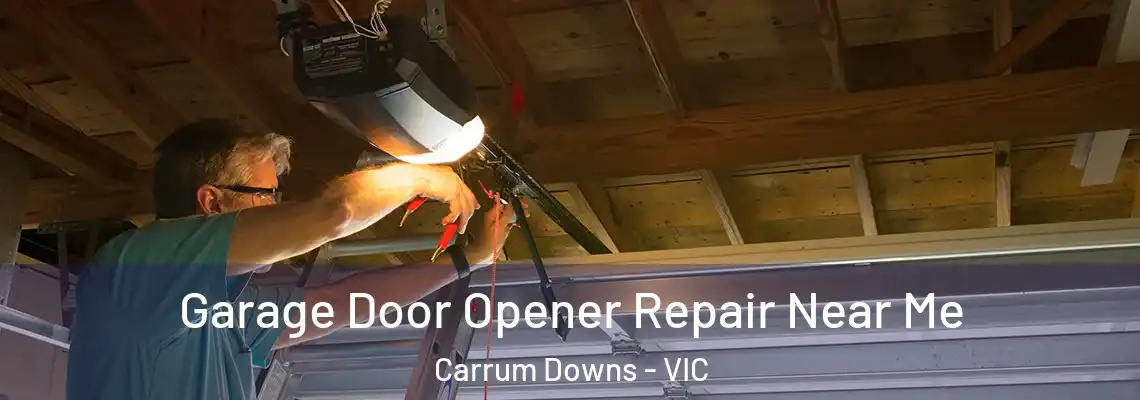 Garage Door Opener Repair Near Me Carrum Downs - VIC