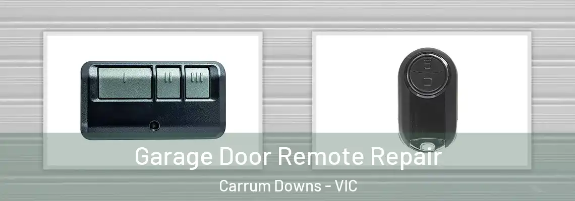 Garage Door Remote Repair Carrum Downs - VIC