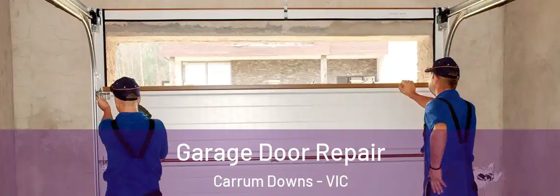  Garage Door Repair Carrum Downs - VIC