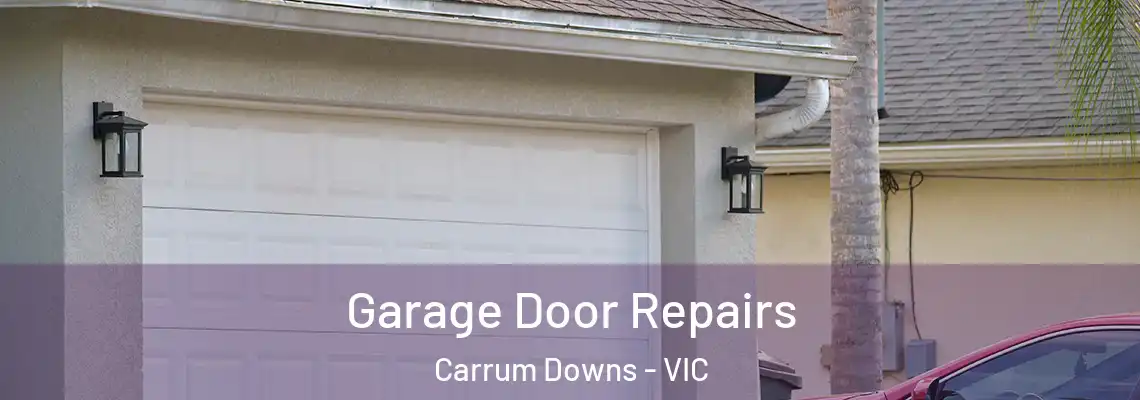Garage Door Repairs Carrum Downs - VIC