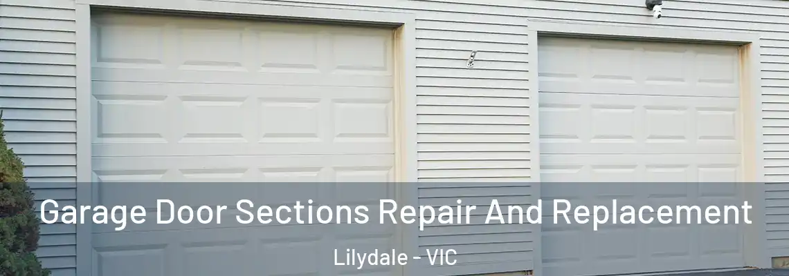 Garage Door Sections Repair And Replacement Lilydale - VIC