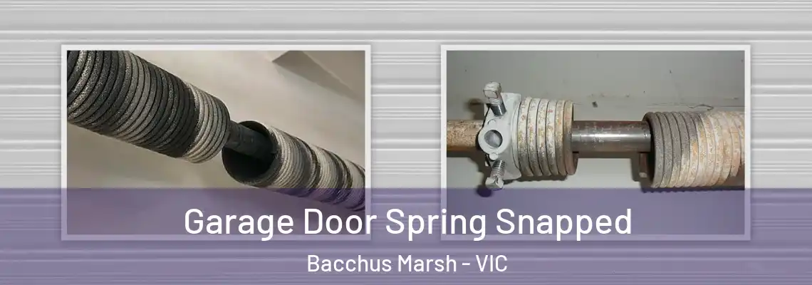 Garage Door Spring Snapped Bacchus Marsh - VIC