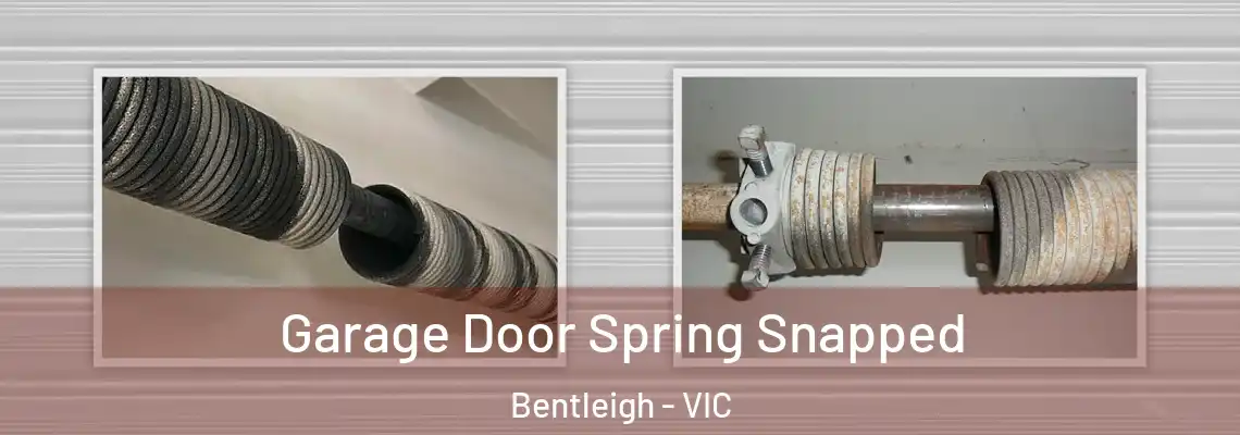Garage Door Spring Snapped Bentleigh - VIC