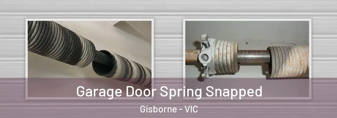 Garage Door Spring Snapped Gisborne - VIC