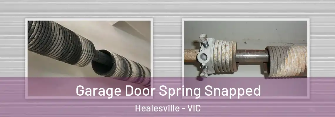 Garage Door Spring Snapped Healesville - VIC