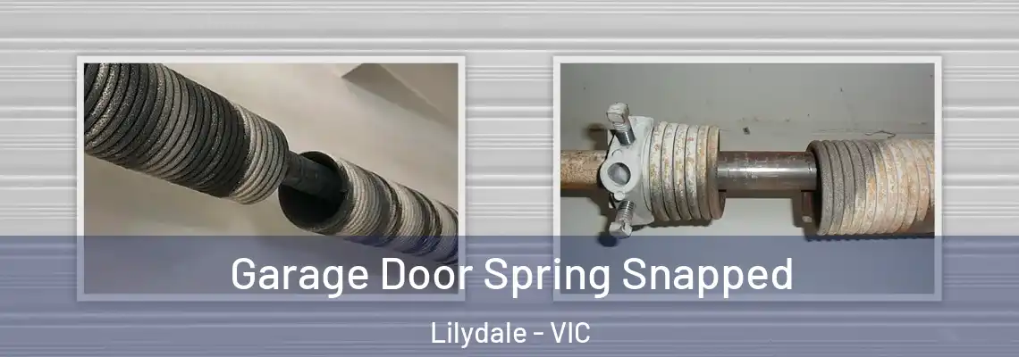Garage Door Spring Snapped Lilydale - VIC