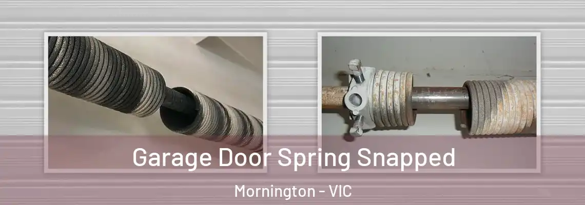 Garage Door Spring Snapped Mornington - VIC
