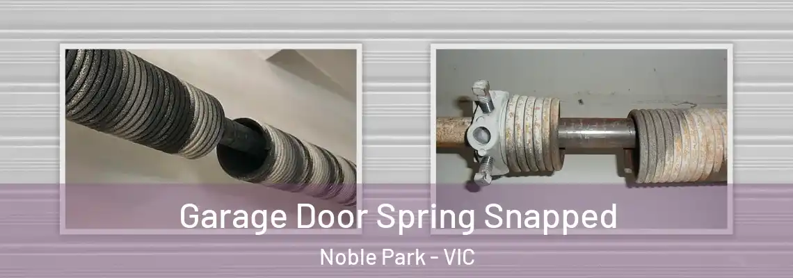 Garage Door Spring Snapped Noble Park - VIC