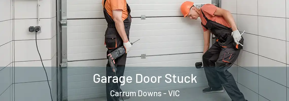  Garage Door Stuck Carrum Downs - VIC