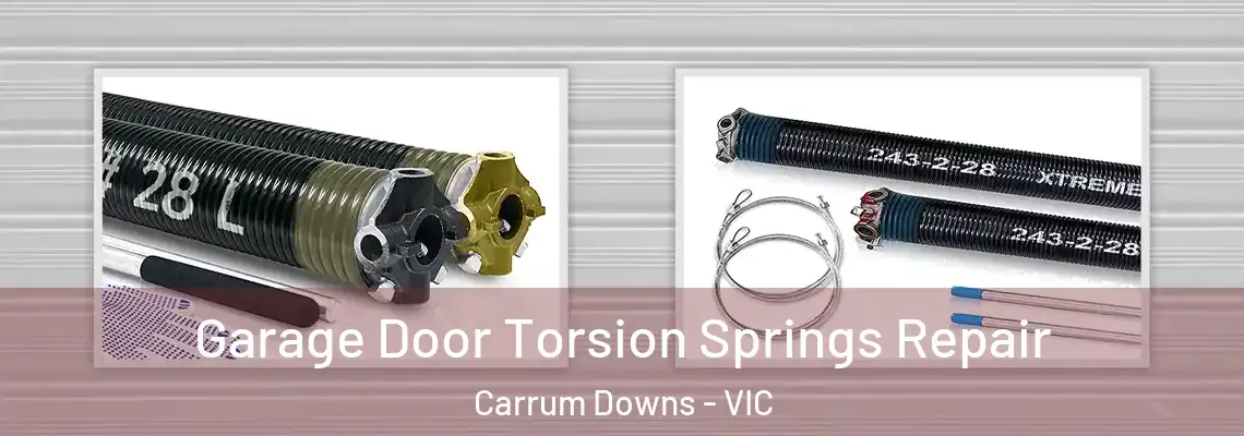  Garage Door Torsion Springs Repair Carrum Downs - VIC