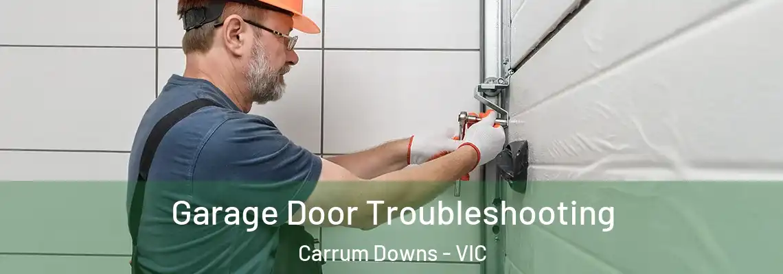 Garage Door Troubleshooting Carrum Downs - VIC
