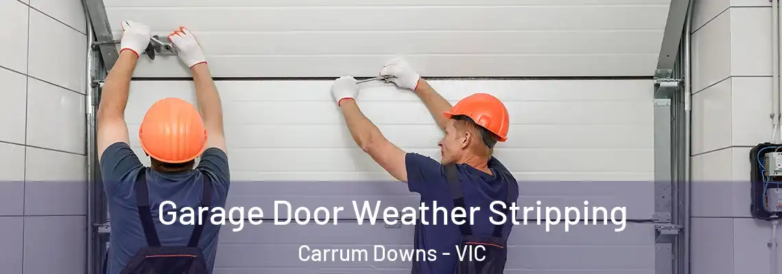  Garage Door Weather Stripping Carrum Downs - VIC
