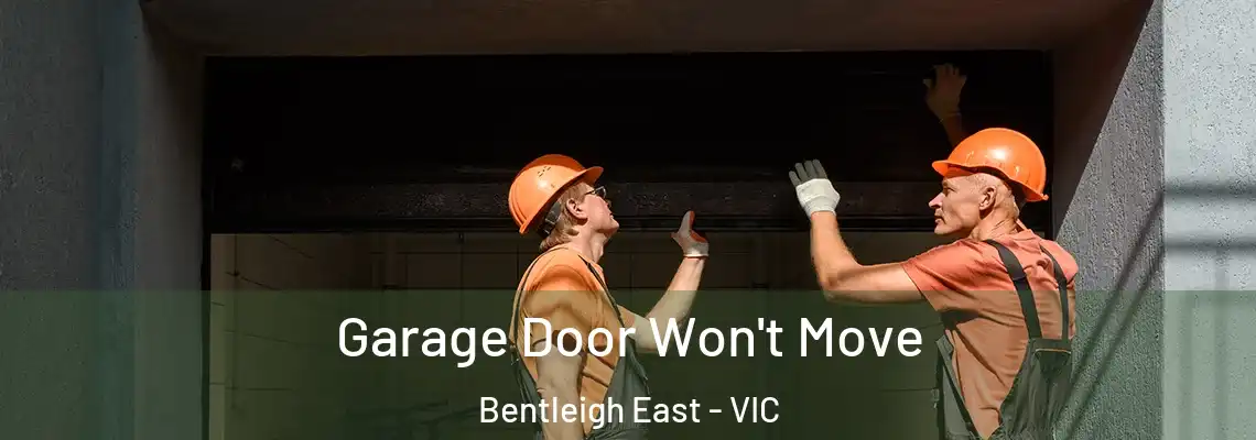  Garage Door Won't Move Bentleigh East - VIC