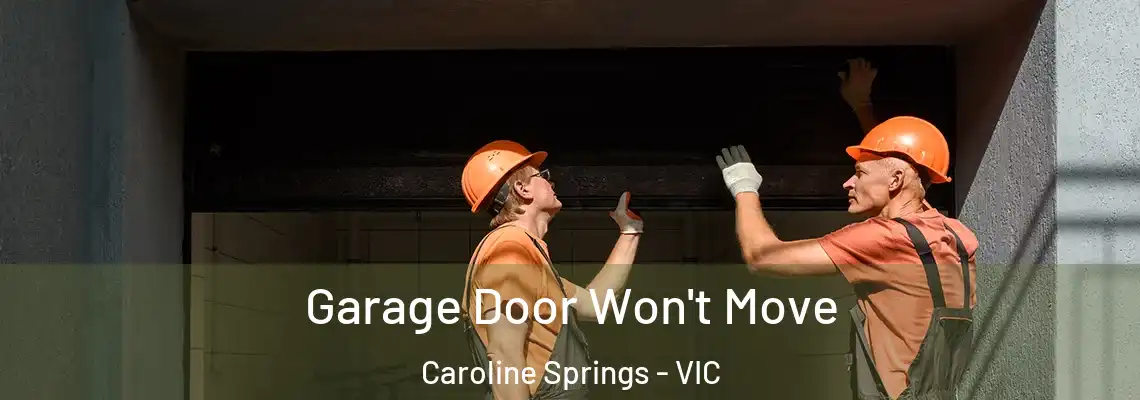 Garage Door Won't Move Caroline Springs - VIC