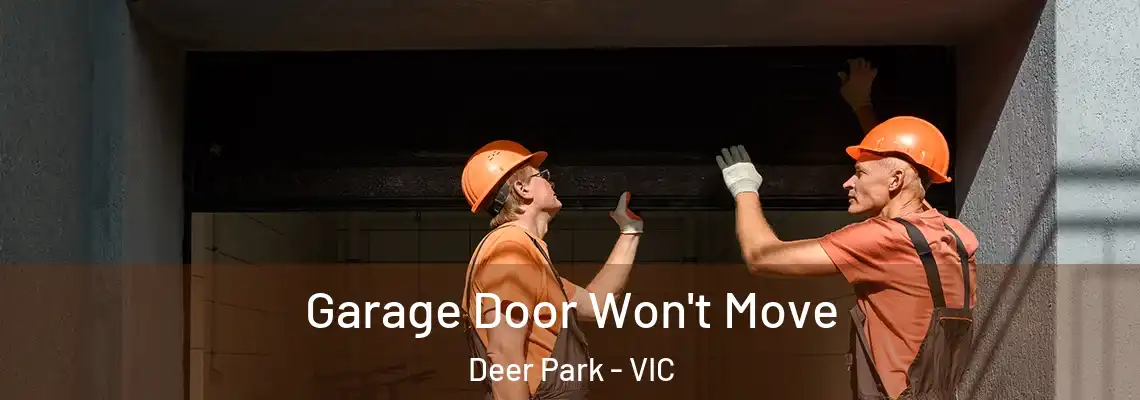 Garage Door Won't Move Deer Park - VIC