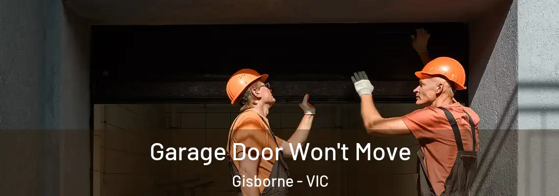Garage Door Won't Move Gisborne - VIC