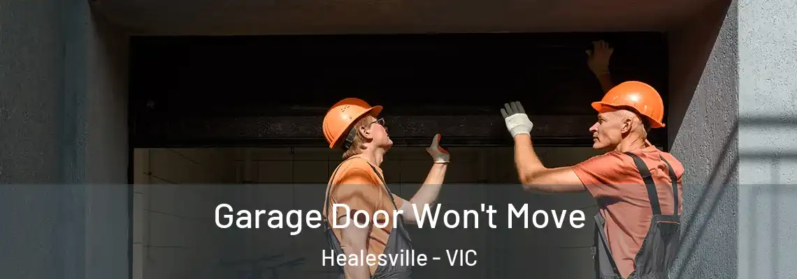 Garage Door Won't Move Healesville - VIC