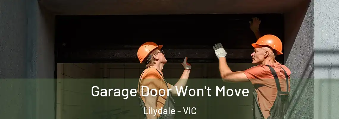 Garage Door Won't Move Lilydale - VIC