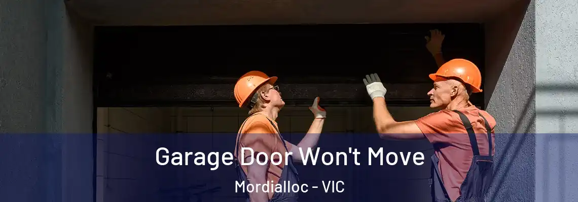 Garage Door Won't Move Mordialloc - VIC