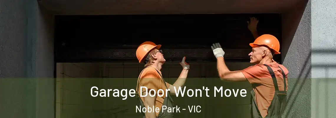 Garage Door Won't Move Noble Park - VIC