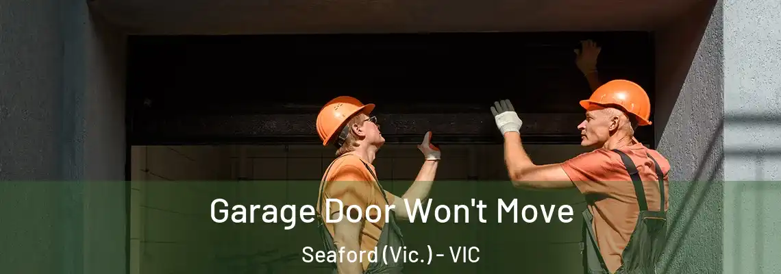  Garage Door Won't Move Seaford (Vic.) - VIC