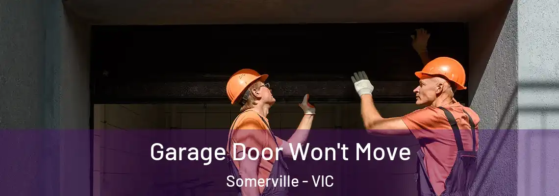 Garage Door Won't Move Somerville - VIC