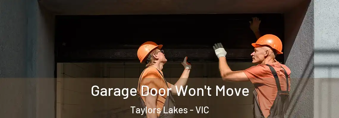 Garage Door Won't Move Taylors Lakes - VIC