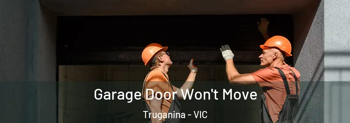 Garage Door Won't Move Truganina - VIC