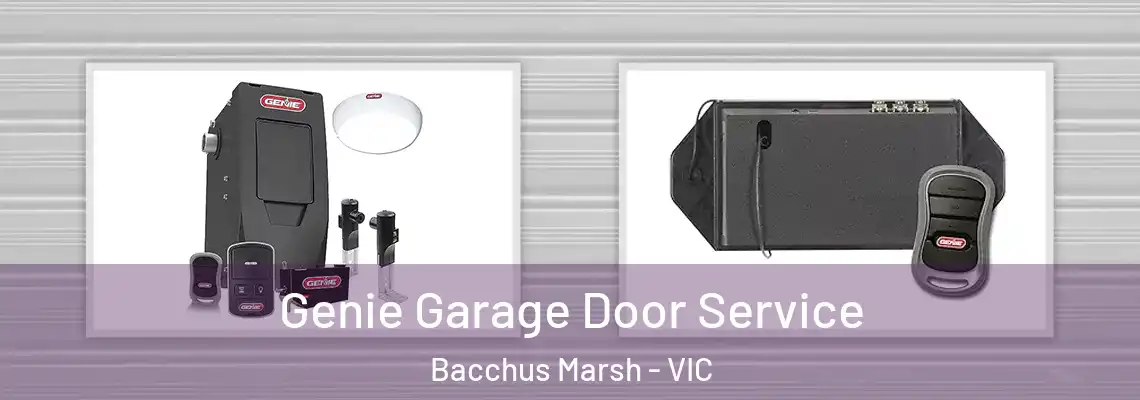  Genie Garage Door Service Bacchus Marsh - VIC