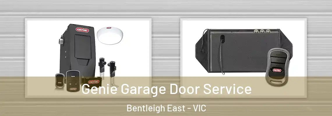 Genie Garage Door Service Bentleigh East - VIC