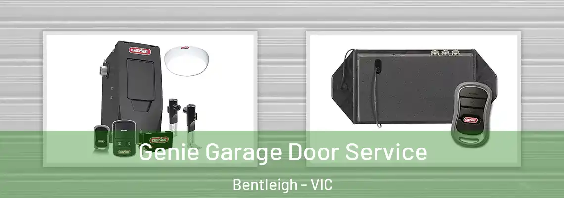 Genie Garage Door Service Bentleigh - VIC
