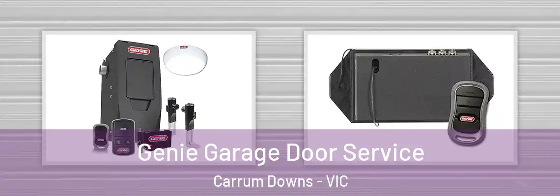  Genie Garage Door Service Carrum Downs - VIC