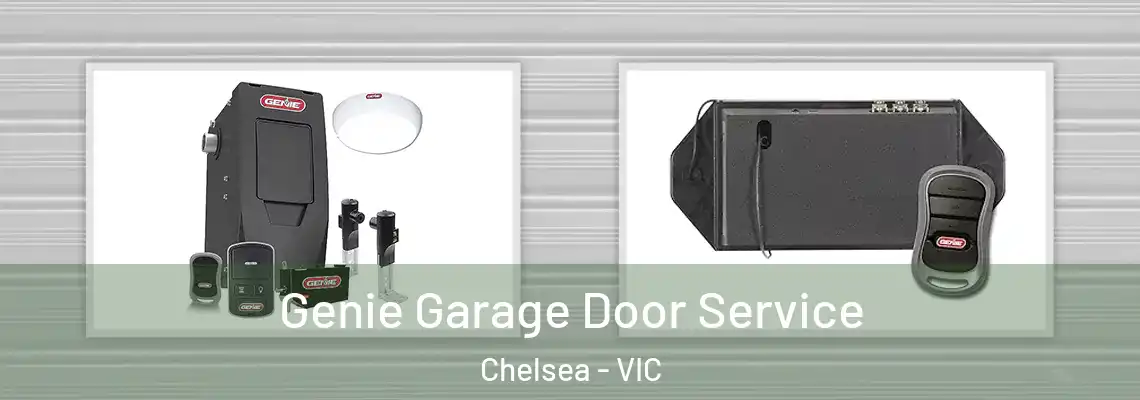 Genie Garage Door Service Chelsea - VIC