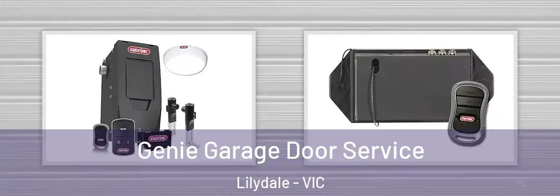 Genie Garage Door Service Lilydale - VIC
