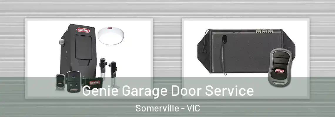 Genie Garage Door Service Somerville - VIC