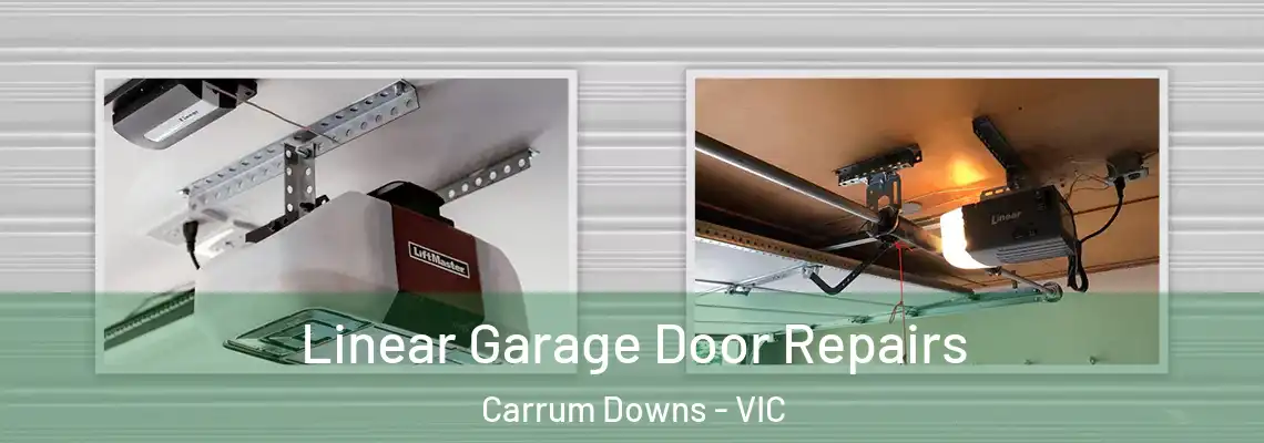 Linear Garage Door Repairs Carrum Downs - VIC