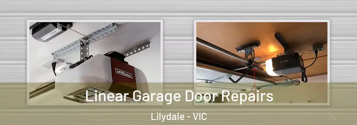 Linear Garage Door Repairs Lilydale - VIC