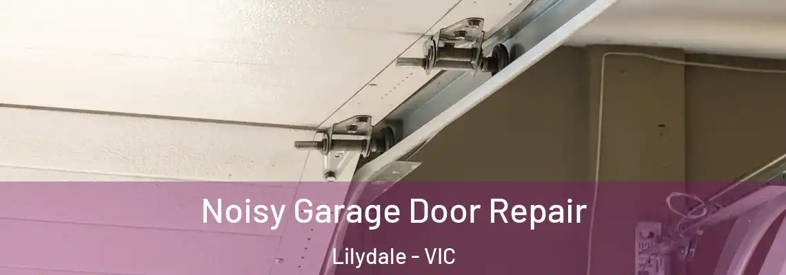  Noisy Garage Door Repair Lilydale - VIC