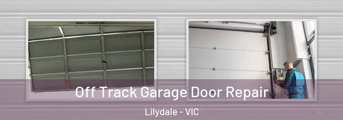 Off Track Garage Door Repair Lilydale - VIC