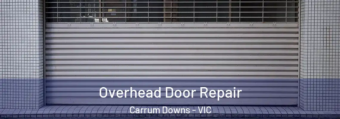  Overhead Door Repair Carrum Downs - VIC
