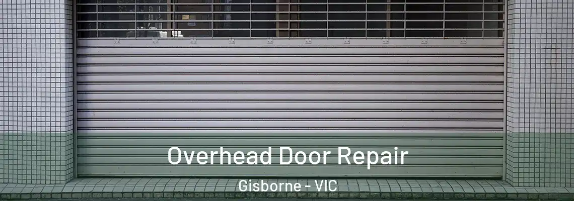 Overhead Door Repair Gisborne - VIC
