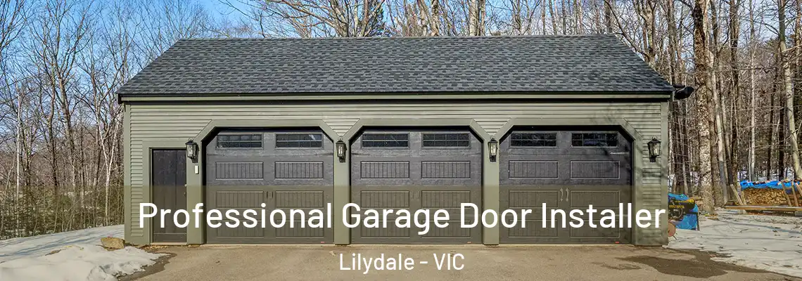  Professional Garage Door Installer Lilydale - VIC