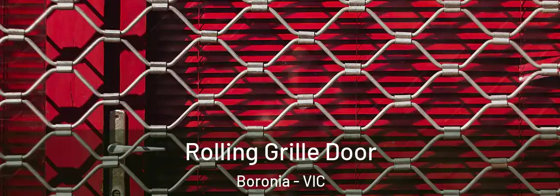  Rolling Grille Door Boronia - VIC