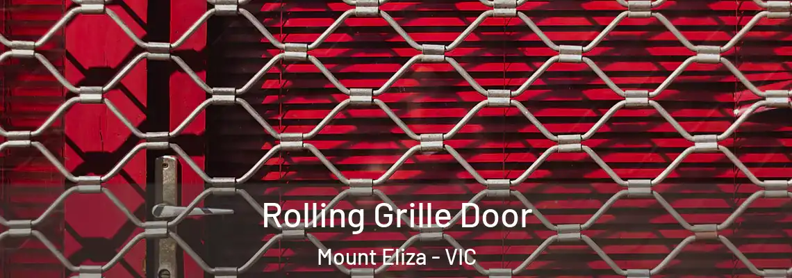Rolling Grille Door Mount Eliza - VIC