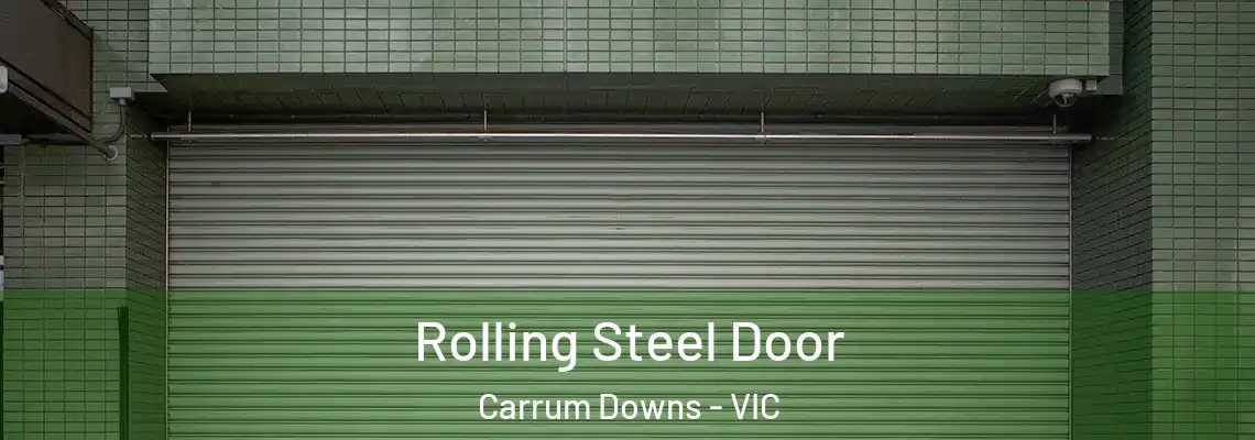 Rolling Steel Door Carrum Downs - VIC
